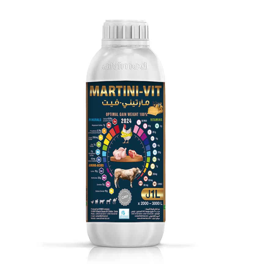 MARTINI- Vit