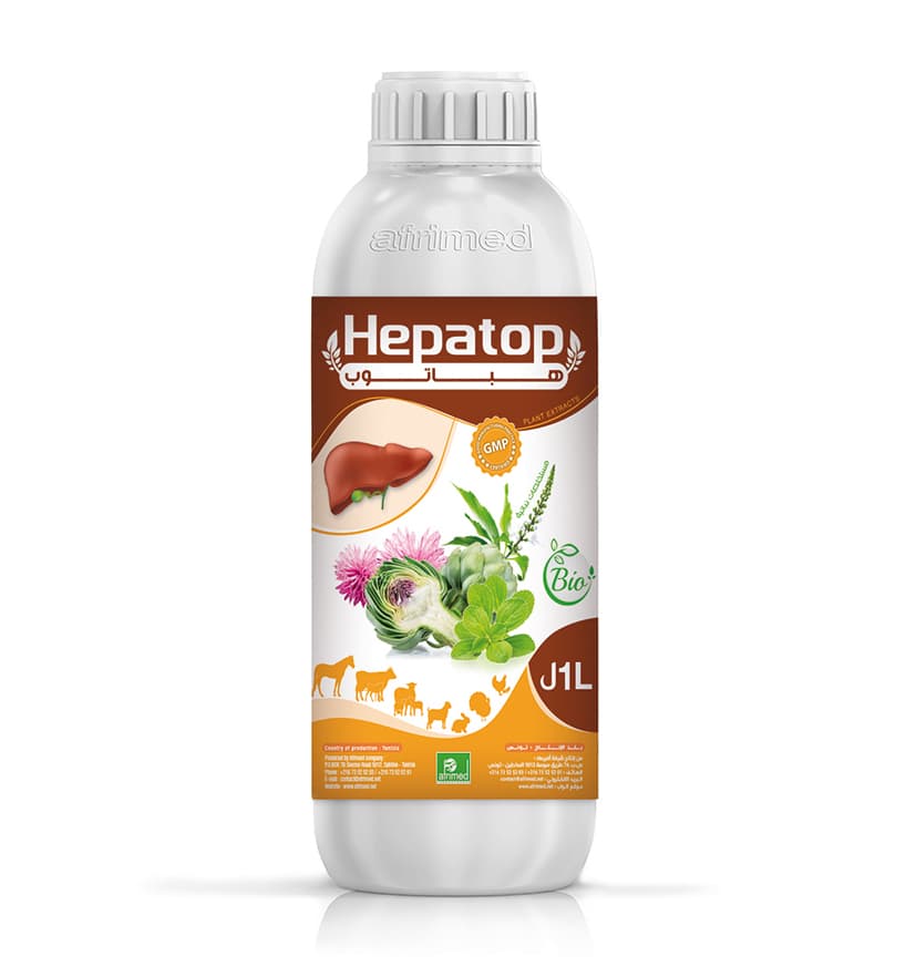 HEPATOP