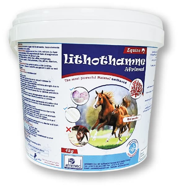 LITHOTHAMNE EQUINE